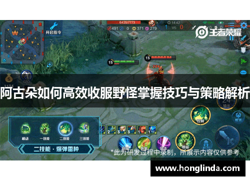 阿古朵如何高效收服野怪掌握技巧与策略解析